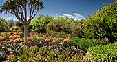 Arcadia Los Angeles County Arboretum & Botanic Garden Arcadia Los Angeles County Arboretum & Botanic Garden