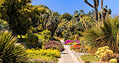 San Marino The Huntington Botanical Gardens San Marino The Huntington Botanical Gardens