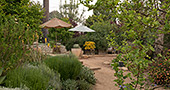 Pasadena Arlington Garden Pasadena Arlington Garden