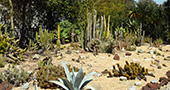 Dominguez Rancho Adobe Museum Dominguez Rancho Adobe Museum
