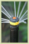 Tune-up your sprinklers